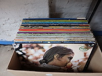 Diverse lp's in doos