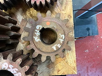 Diverse maten rondsels - afbeelding 3 van  6