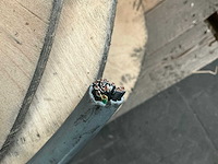 Diverse onderdelen, gereedschappen en accessoires - afbeelding 4 van  6