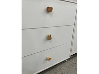 Diverse opbergkasten (5x) - afbeelding 9 van  10