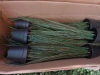 Diverse partij valse bloemen en wandbekleding - afbeelding 3 van  6