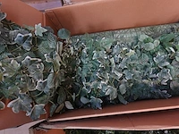 Diverse partij valse bloemen en wandbekleding - afbeelding 5 van  6