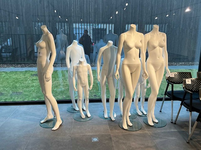 Diverse paspoppen (8x) - afbeelding 1 van  8