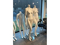 Diverse paspoppen (8x) - afbeelding 5 van  8