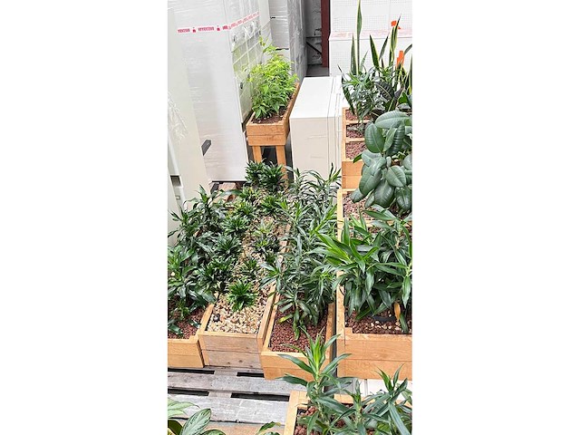 Diverse planten - plantenbak (18x) - afbeelding 5 van  6