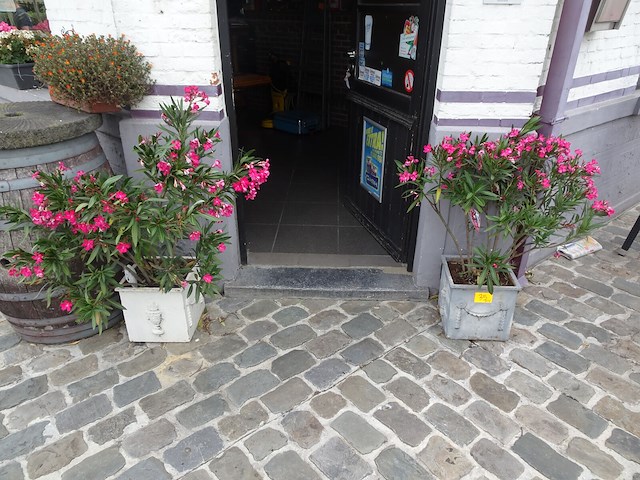 Diverse plantenbakken - afbeelding 1 van  3