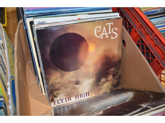 Diverse platen - afbeelding 6 van  9