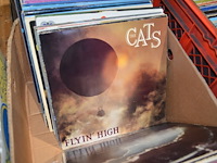 Diverse platen - afbeelding 6 van  9