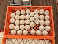 Diverse porseleinen schoteltjes - afbeelding 5 van  6