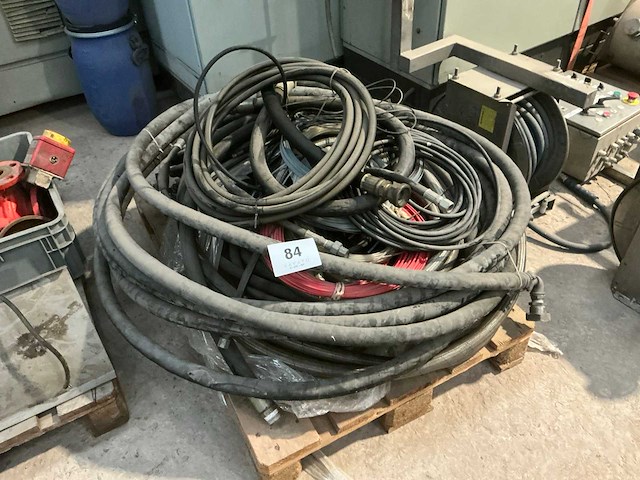 Diverse slangen - afbeelding 1 van  7