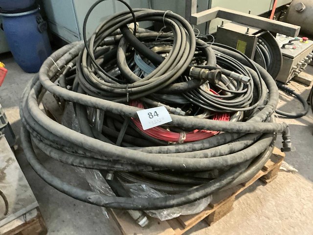 Diverse slangen - afbeelding 3 van  7