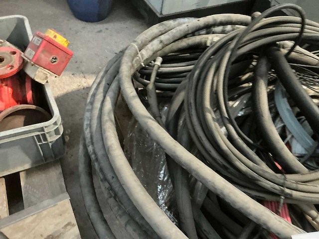 Diverse slangen - afbeelding 4 van  7