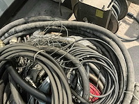 Diverse slangen - afbeelding 6 van  7