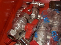 Diverse soorten kogelkranen - afbeelding 3 van  4