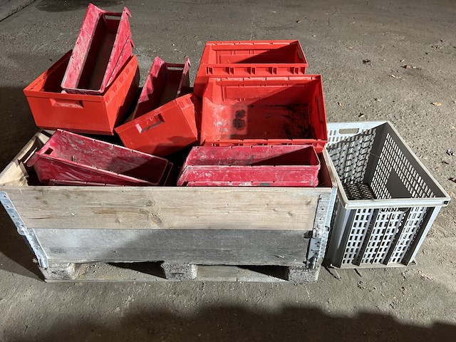 Diverse sorteerbakjes - afbeelding 3 van  3