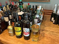 Diverse sterke dranken en likeuren (23x) - afbeelding 1 van  8