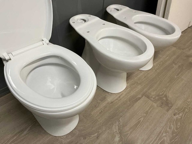 Diverse toiletten (3x) - afbeelding 3 van  5