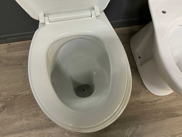 Diverse toiletten (3x) - afbeelding 4 van  5