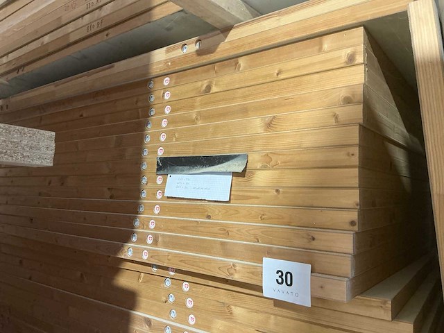 Diverse tubespaan brandwerende schildersdeuren (26x) - afbeelding 3 van  4