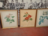 Diverse wandversieringen, diverse beeldjes, allerlei - afbeelding 15 van  42