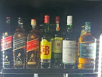 Diverse whiskey (10x) - afbeelding 1 van  4