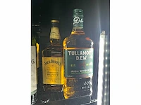 Diverse whiskey (10x) - afbeelding 4 van  4