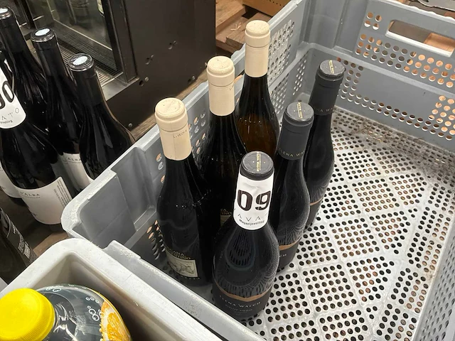 Diverse witte wijnen (6x) - afbeelding 4 van  4