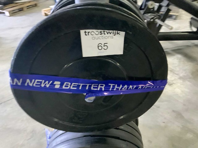 Diversen 50mm schijven 250kg met rek krachtstation - afbeelding 4 van  7