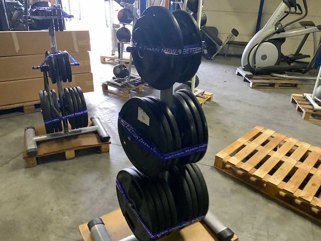 Diversen 50mm schijven 250kg met rek krachtstation - afbeelding 7 van  7