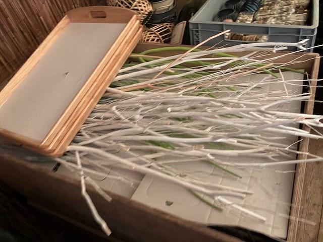 Diversen decoratie - afbeelding 2 van  5