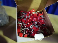 Diversen kleinhuis - afbeelding 7 van  10