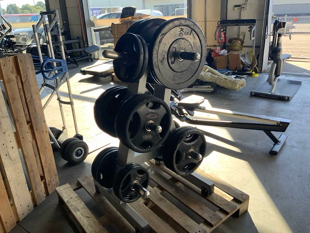 Diversen schijven 50mm 2x20;12x10;7x5kg krachtstation - afbeelding 1 van  5