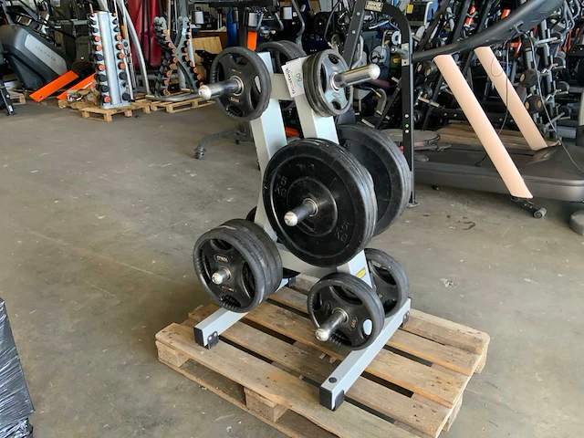 Diversen schijven 50mm 8x10;4x5;6x5;6x2,5kg krachtstation - afbeelding 1 van  5