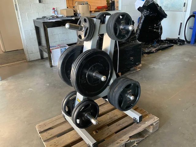 Diversen schijven 50mm 8x10;4x5;6x5;6x2,5kg krachtstation - afbeelding 2 van  5