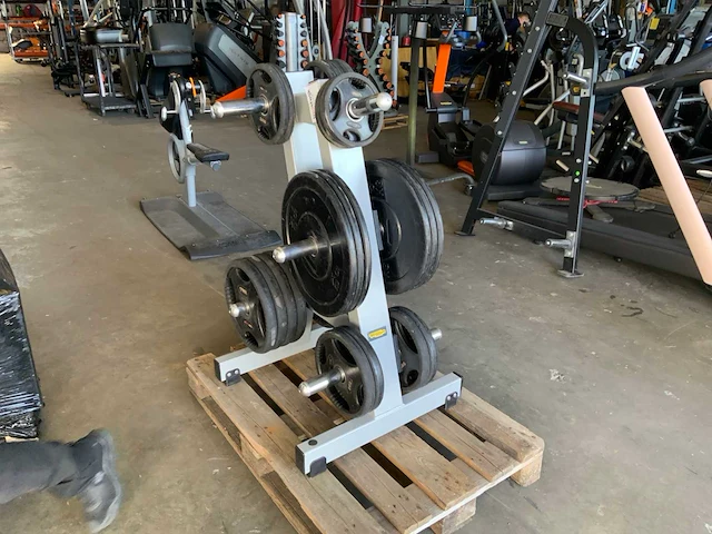Diversen schijven 50mm 8x10;4x5;6x5;6x2,5kg krachtstation - afbeelding 3 van  5
