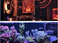 Dmiotech 115 mm x 120 mm 30,5 cm (12 inch) transparante acrylbuis