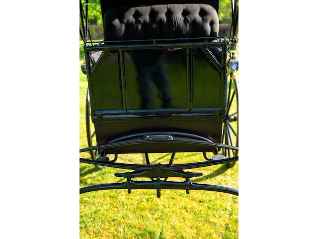 Doctor’s buggy /physician's phaeton - afbeelding 4 van  26