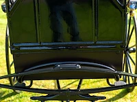 Doctor’s buggy /physician's phaeton - afbeelding 4 van  26