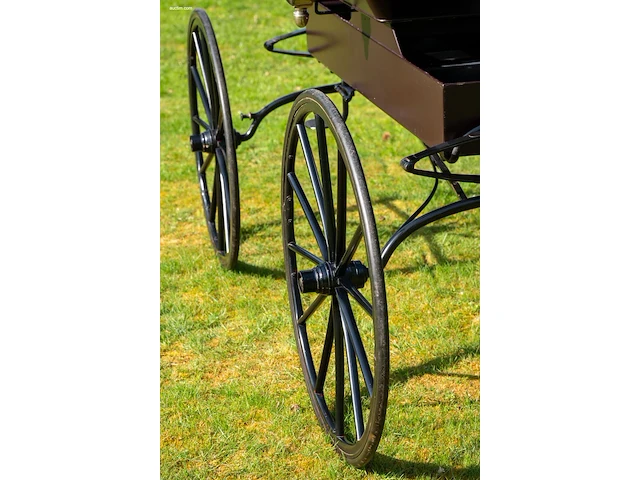 Doctor’s buggy /physician's phaeton - afbeelding 11 van  26