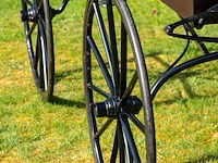 Doctor’s buggy /physician's phaeton - afbeelding 11 van  26