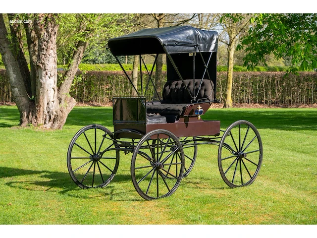Doctor’s buggy /physician's phaeton - afbeelding 1 van  26