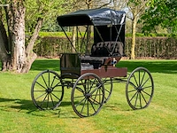 Doctor’s buggy /physician's phaeton