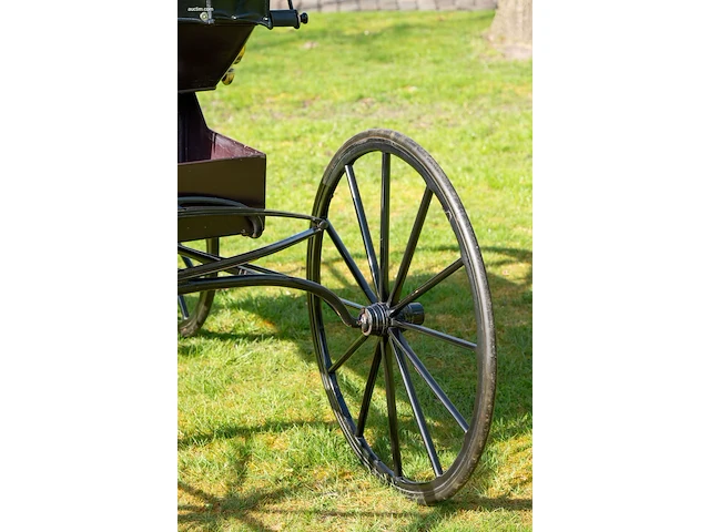 Doctor’s buggy /physician's phaeton - afbeelding 13 van  26