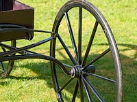 Doctor’s buggy /physician's phaeton - afbeelding 13 van  26