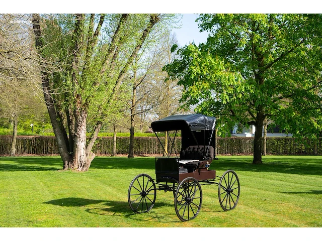 Doctor’s buggy /physician's phaeton - afbeelding 14 van  26