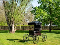 Doctor’s buggy /physician's phaeton - afbeelding 14 van  26