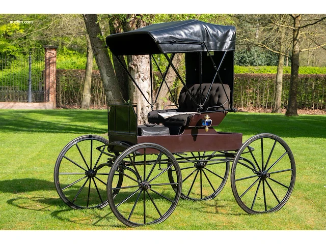 Doctor’s buggy /physician's phaeton - afbeelding 15 van  26