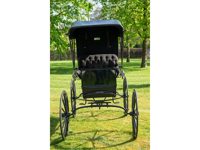 Doctor’s buggy /physician's phaeton - afbeelding 16 van  26