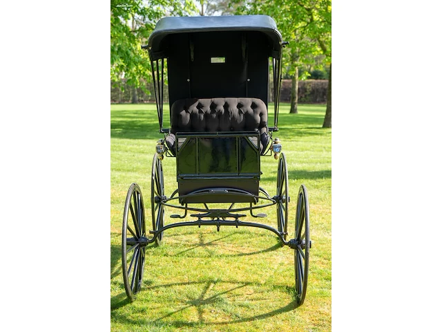 Doctor’s buggy /physician's phaeton - afbeelding 18 van  26