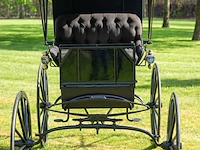 Doctor’s buggy /physician's phaeton - afbeelding 18 van  26